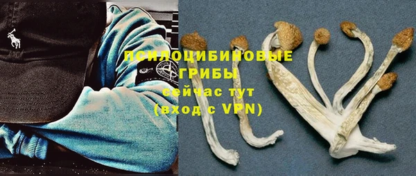 МДПВ Абаза